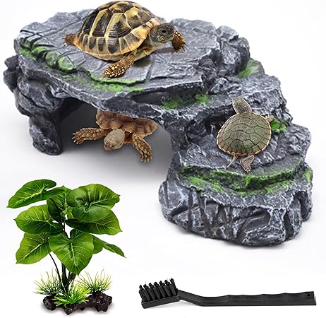 pet aquatic & reptile 1