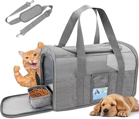 pet misc. 1