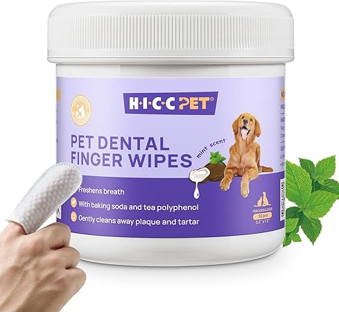 pet misc. 10