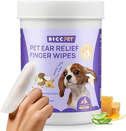 pet misc. 11