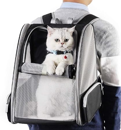 pet misc.
